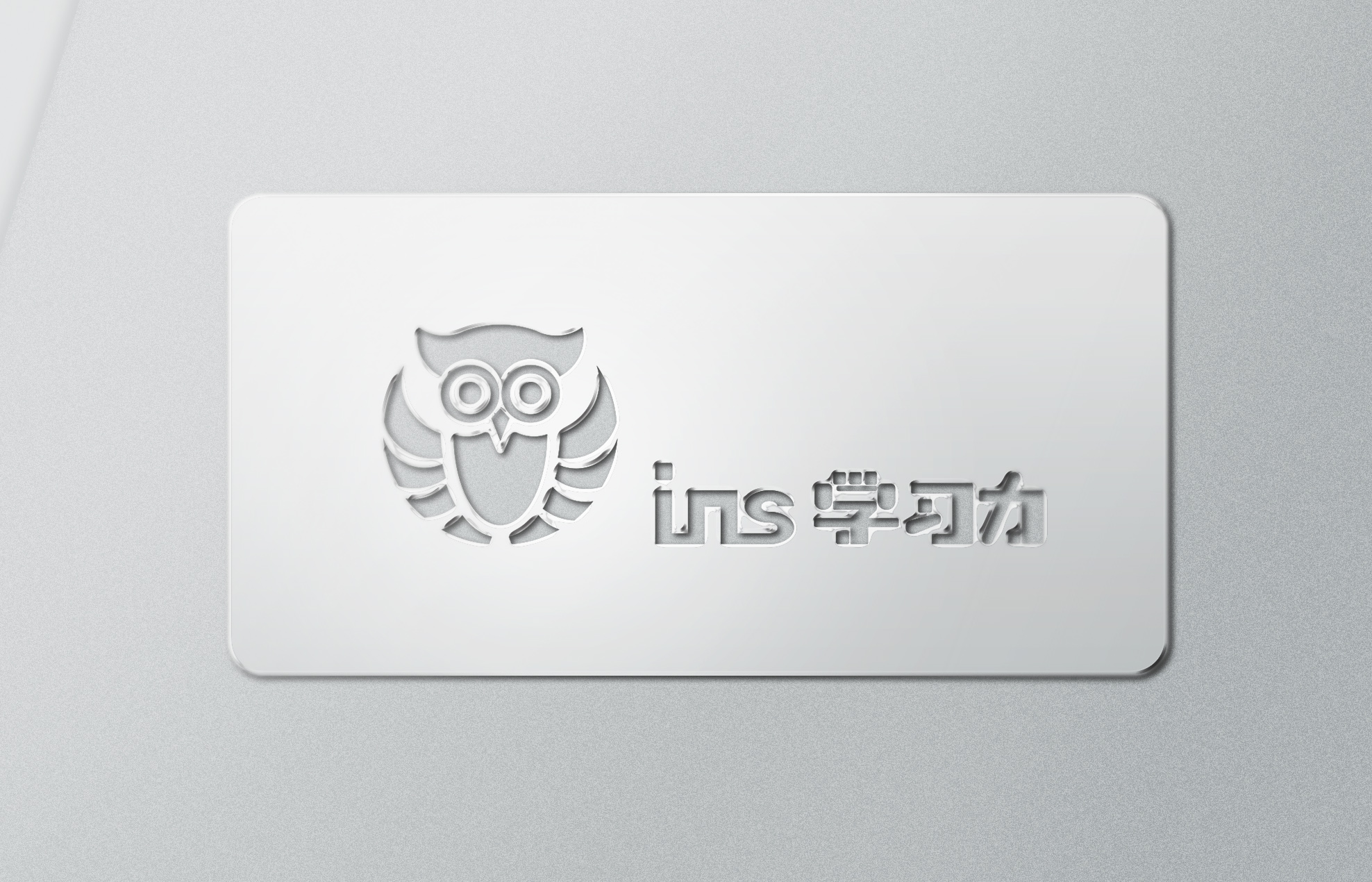 北京INS学习力logo设计